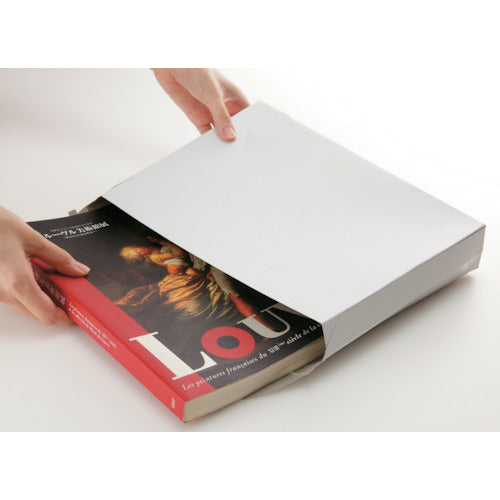 King Corp. Business Bag Small 100 pieces (310 x 225) KBB008 1 box