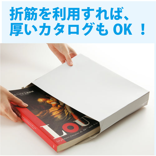 King Corp. Business Bag Small 100 pieces (310 x 225) KBB008 1 box