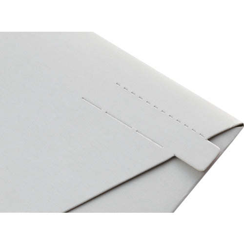 King Corp. Business Bag Small 100 pieces (310 x 225) KBB008 1 box