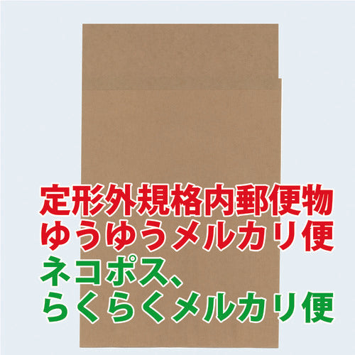 キングコーポ　ポストイン封筒小　未晒１００ｇ／ｍ２　１０枚　POSTIN10　1 PK