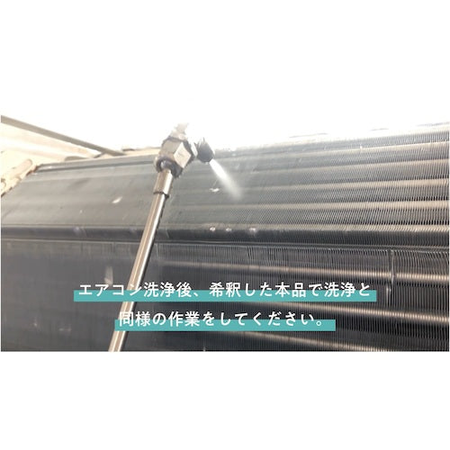 Linda Silver Rinse First 10kg NB58 1 piece