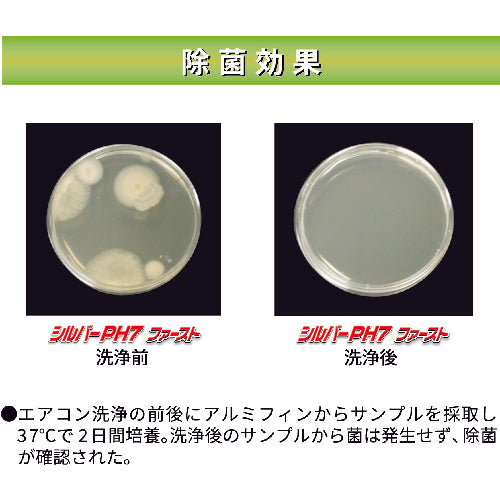 Linda Silver PH7 Fast 10kg NB57 1 piece