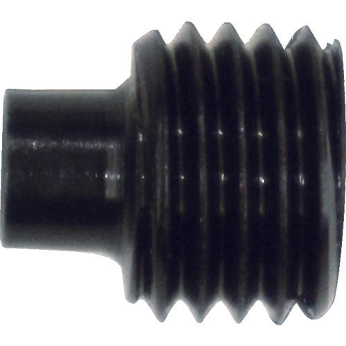 TRUSCO RHR2 Set Screw RHR2-09 1 pc