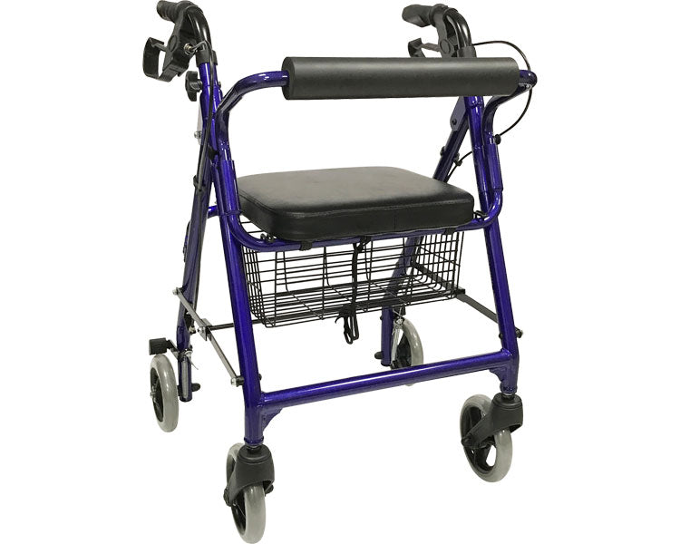 심포니/블루 1대