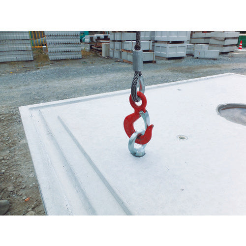 タケネ　アイボルト（鉄製）　（１個＝１袋）　TAI12022　1 個