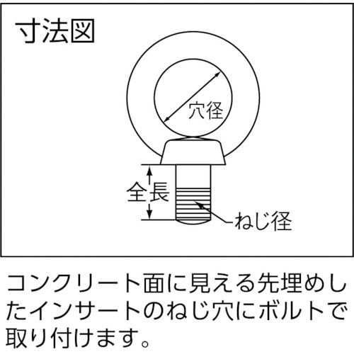 タケネ　アイボルト（鉄製）　（１個＝１袋）　TAI16027　1 個