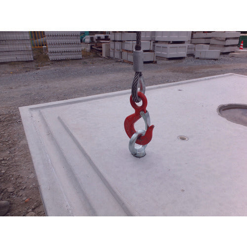 タケネ　アイボルト（鉄製）　（１個＝１袋）　TAI16027　1 個