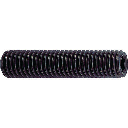 TRUSCO 육각구멍부착 고정나사 움푹 들어간 곳 흑염색 M2×2 29개입 B31-0202 1 PK