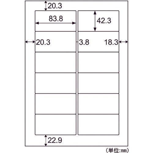 Hisago FSC certified A4 tag sticker 12 sides FSCOP861 1 PK