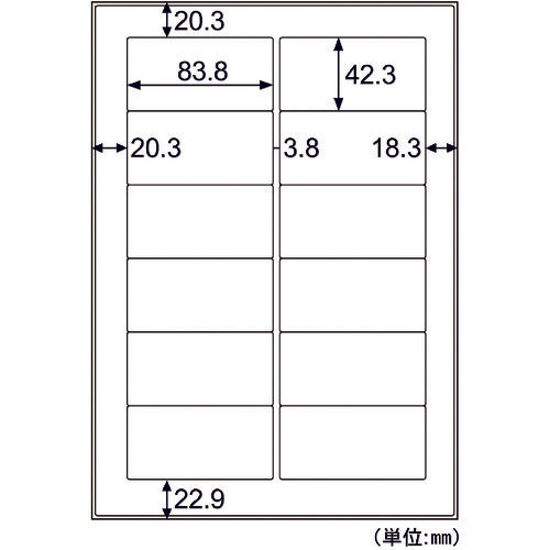 ヒサゴ　屋外用ラベル　粗い面対応　Ａ４　１２面　KLPB861S　1 PK