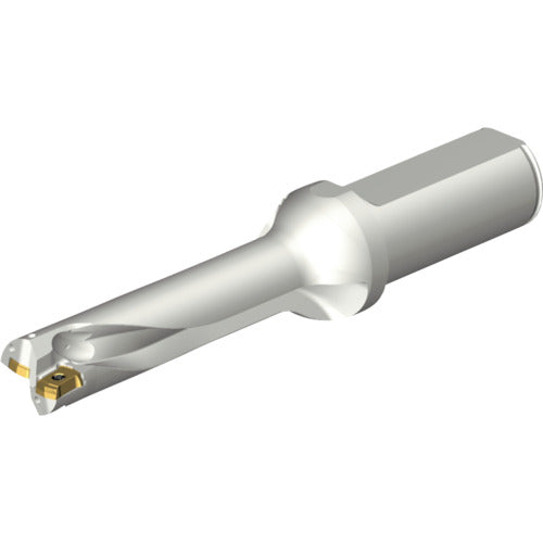 샌드빅 콜로 드릴 DS20 날끝 교환식 드릴(465) DS20-D1900L25-04 1개