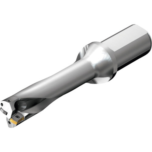 サンドビック　コロドリルＤＳ２０刃先交換式ドリル（４６５）　DS20-D2100L25-04　1 本