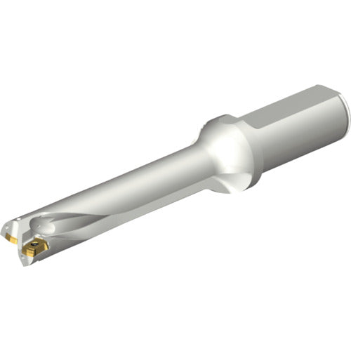 샌드빅 콜로 드릴 DS20 날끝 교환식 드릴(465) DS20-D2000L25-05 1개