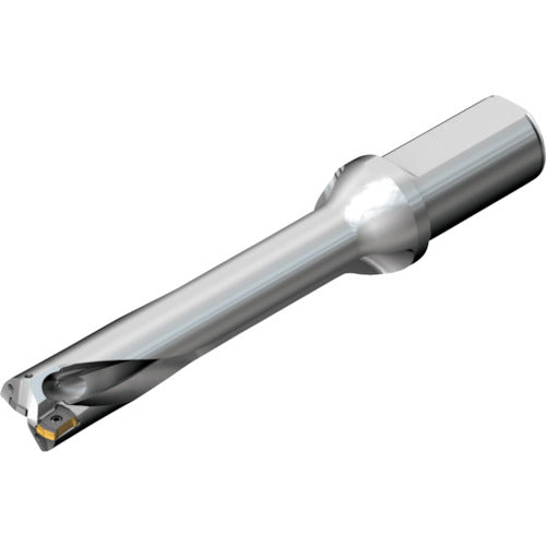 Sandvik CoroDrill DS20 replaceable tip drill (465) DS20-D2100L25-05 1 piece