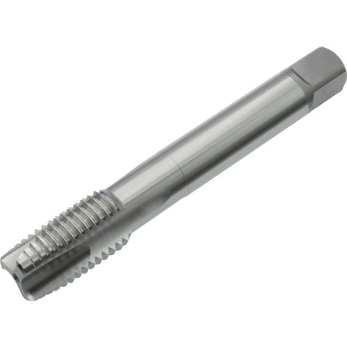 Yamawa Long Point Tap LS-PO L200 P4 M24X2 LS-PO-P4-200-M24X2 1 piece
