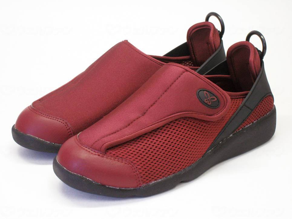 アスティコすたこらさんｿﾌﾄ100 ﾜｲﾝ 25.0