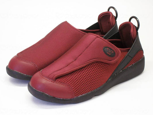 アスティコすたこらさんｿﾌﾄ100 ﾜｲﾝ 25.0