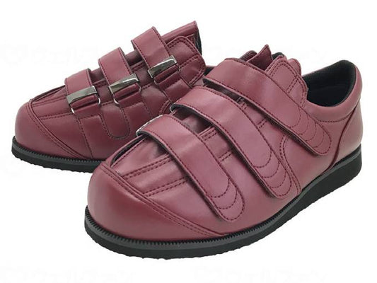 아스티코 스타 코라 씨 소프트 59 윈 22.0