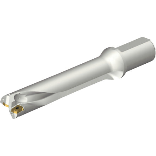 샌드빅 콜로 드릴 DS20 날끝 교환식 드릴(465) DS20-D3700L40-05 1개