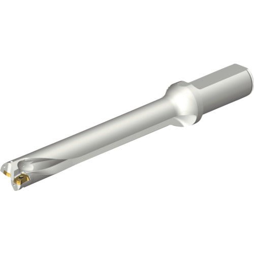 샌드빅 콜로 드릴 DS20 날끝 교환식 드릴(465) DS20-D2100L25-07 1개