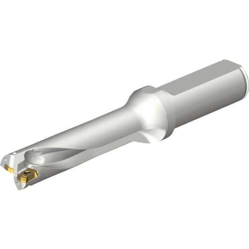 샌드빅 콜로 드릴 DS20 날끝 교환식 드릴(465) DS20-D1700L20-04 1개