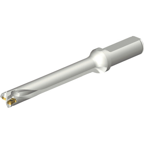 샌드빅 콜로 드릴 DS20 날끝 교환식 드릴(465) DS20-D1600L20-07 1개