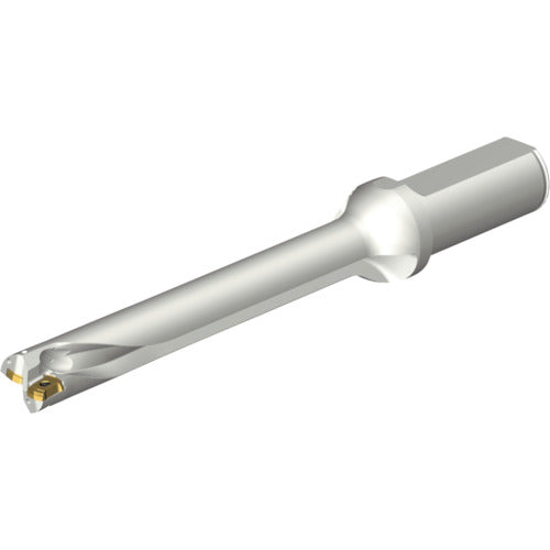 샌드빅 콜로 드릴 DS20 날끝 교환식 드릴(465) DS20-D1900L25-07 1개