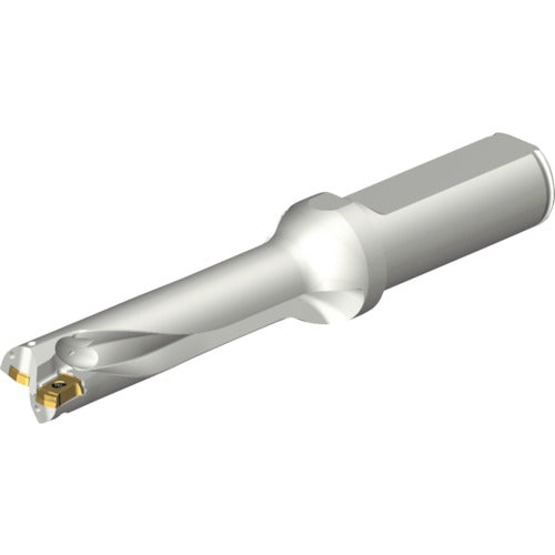 샌드빅 콜로 드릴 DS20 날끝 교환식 드릴(465) DS20-D1600L20-04 1개