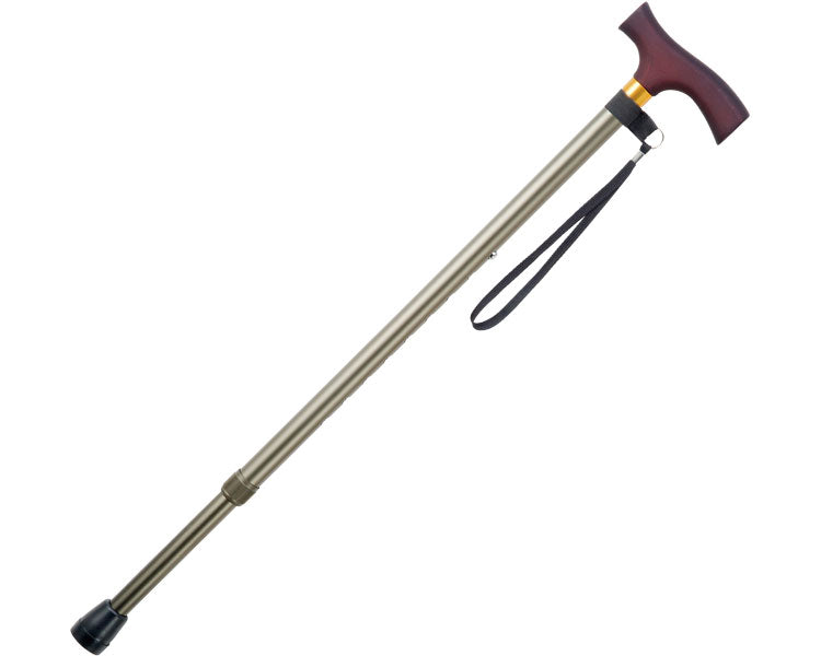 이코노미 스테크(신축·굵은 몸체) / OT-002 광택 실버 1개