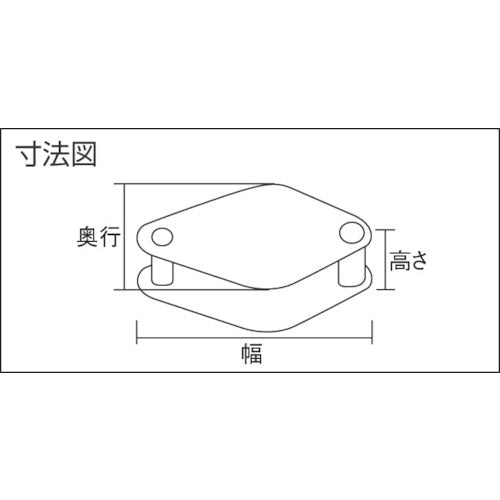 リーフ　ルーペ　大　R31-3　1 個