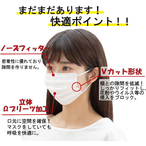 IRIS 285548 Disposable mask, regular, 30 pieces, 20PN-30PM, 1 box