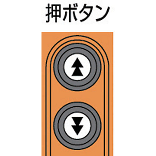 ＫＩＴＯ　電気チェーンブロック　キトーセレクト　２速形　１００ｋｇ×３ｍ　ED10ST　1 台