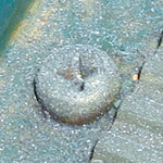 ENGINEER Screwsaurus PZ-55 1 piece