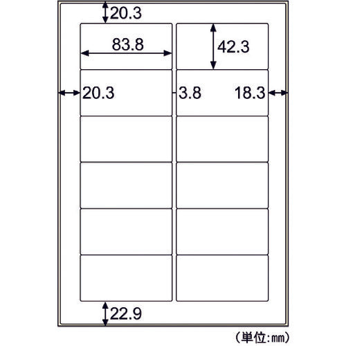 Hisago Water-Repellent Paper Label A4 12 Sides OPW861 1 PK