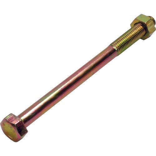 DAIDOHANT Z Mark Hexagon Bolt M12X195 10177105 1 piece