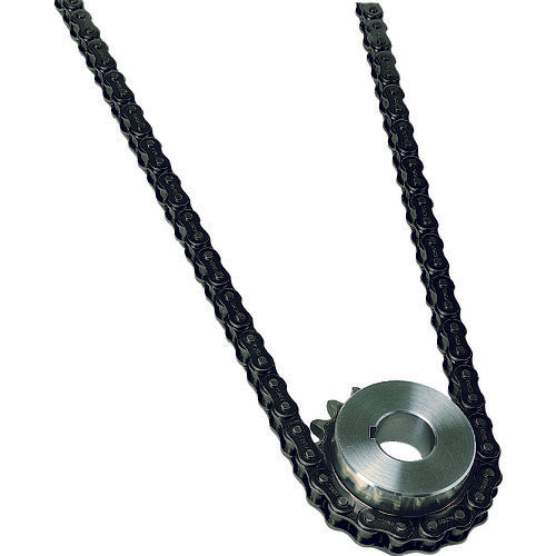 ＫＡＮＡ　ＫＣＭ　ローラチェーン８０ＣＰ　80-1CP120L　1 本