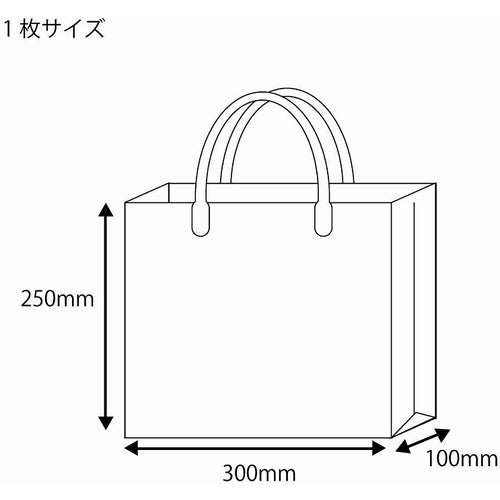 シモジマ　透明バッグ　ハッピータック付　Ｓ　１０枚入り　006464060　1 袋