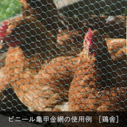 DAIDOHANT Vinyl Tortoiseshell Wire Mesh, Wire diameter 0.85 x mesh 10mm, Width 450mm x Length 1m, Roll 10160142, 1 roll