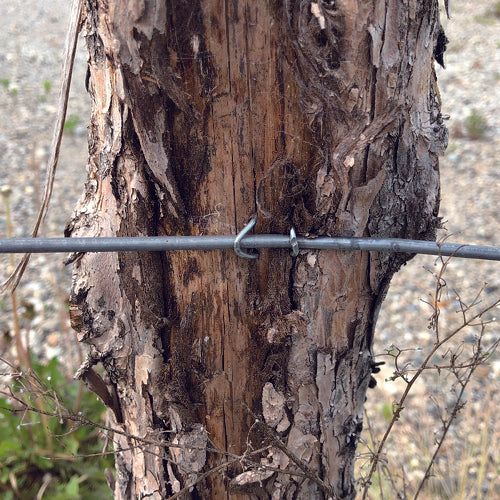 DAID OHANT VP Matamagi 2.7x38 200g (approx. 55 pieces) 10175290 1 PK