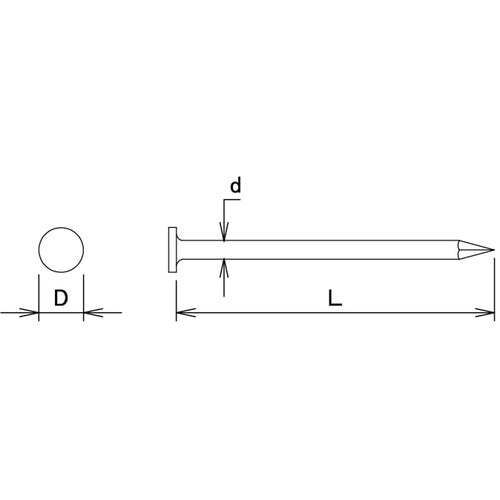 ＤＡＩＤОＨＡＮＴ　ＶＰ　ステンレス釘　平頭　３．０５ｘ６５　２００ｇ（約５１本）　10175358　1 袋
