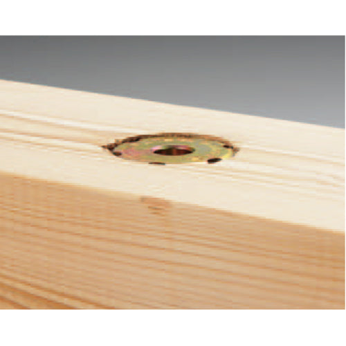 DAIDOHANT 크리커터 전용 비트 M12용 10177194 1봉