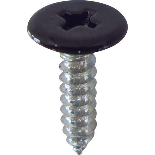 ＤＡＩＤОＨＡＮＴ　１×４サポート専用ビス　頭黒　３ｘ１２　10179753　1 袋