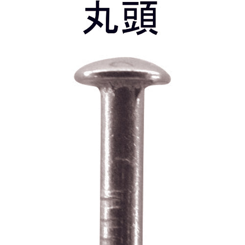 ＤＡＩＤОＨＡＮＴ　ＶＰ　ステンレス釘　丸頭　１．９ｘ３２　２００ｇ（約２８６本）　10175382　1 袋