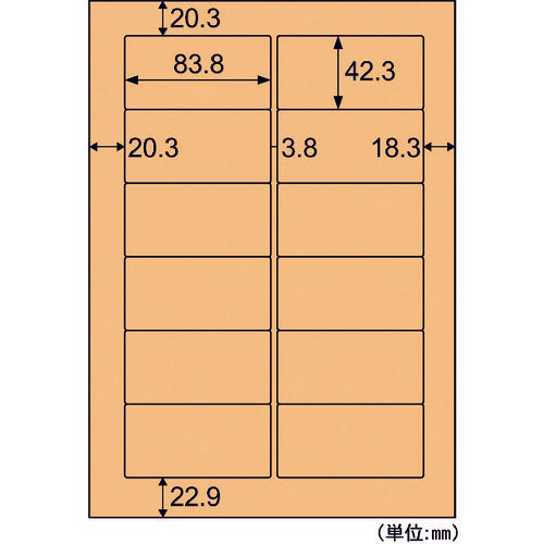 Hisago Kraft Paper Label, Light Brown, for Brown Envelopes, A4, 12 Sides, OPC861, 1 PK