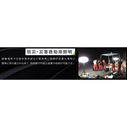 EIKO 샤인볼(100W타입・14000lm) BL00A016 1대