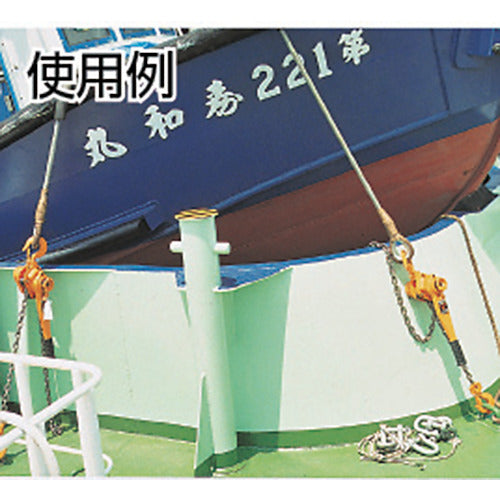 ＫＩＴＯ　キトーレバーブロックＬ５形　定格荷重１．６ｔ　標準揚程１．５ｍ　LB016　1 台