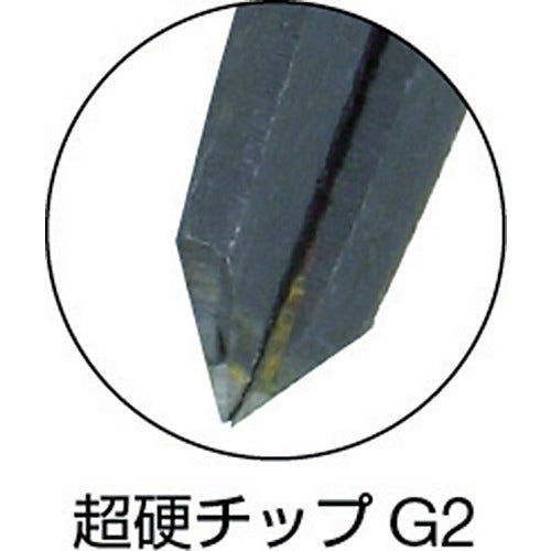 ＴＲＵＳＣＯ　超硬チップ付コンパス　長さ１００　円直径１５０　PTC-100　1 本