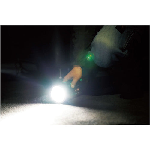 ＢＥＲＵＦ　サーチライト　ＢＴＫ−ＳＬ２００１Ｒ　87239　1 個