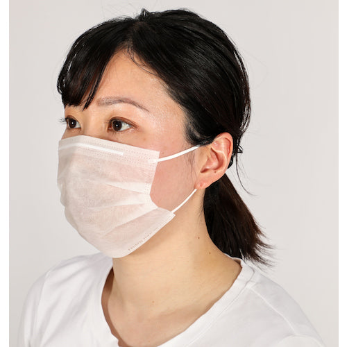 ＴＲＵＳＣＯ　作業用マスク（耳掛けタイプ）２層　（１００枚入）　TEM2L-100　1 箱