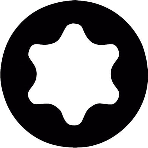 PB Swiss Tools stepped long hex lobe bit E6L-400-20-150 1 piece